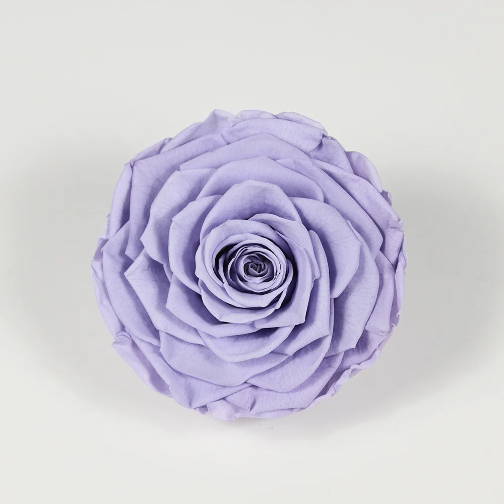 2021 New Style Big  9-10 cm Rose Real Fresh Romantic Beautiful  Preserved Rose Wholesale dried roses flowers