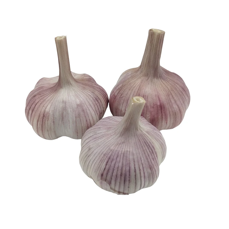 Wholesale garlic import china fresh garlic