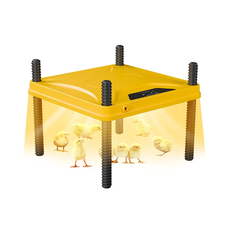 Support OEM chick heating plate factory price chick heating equipment with remote temperature control