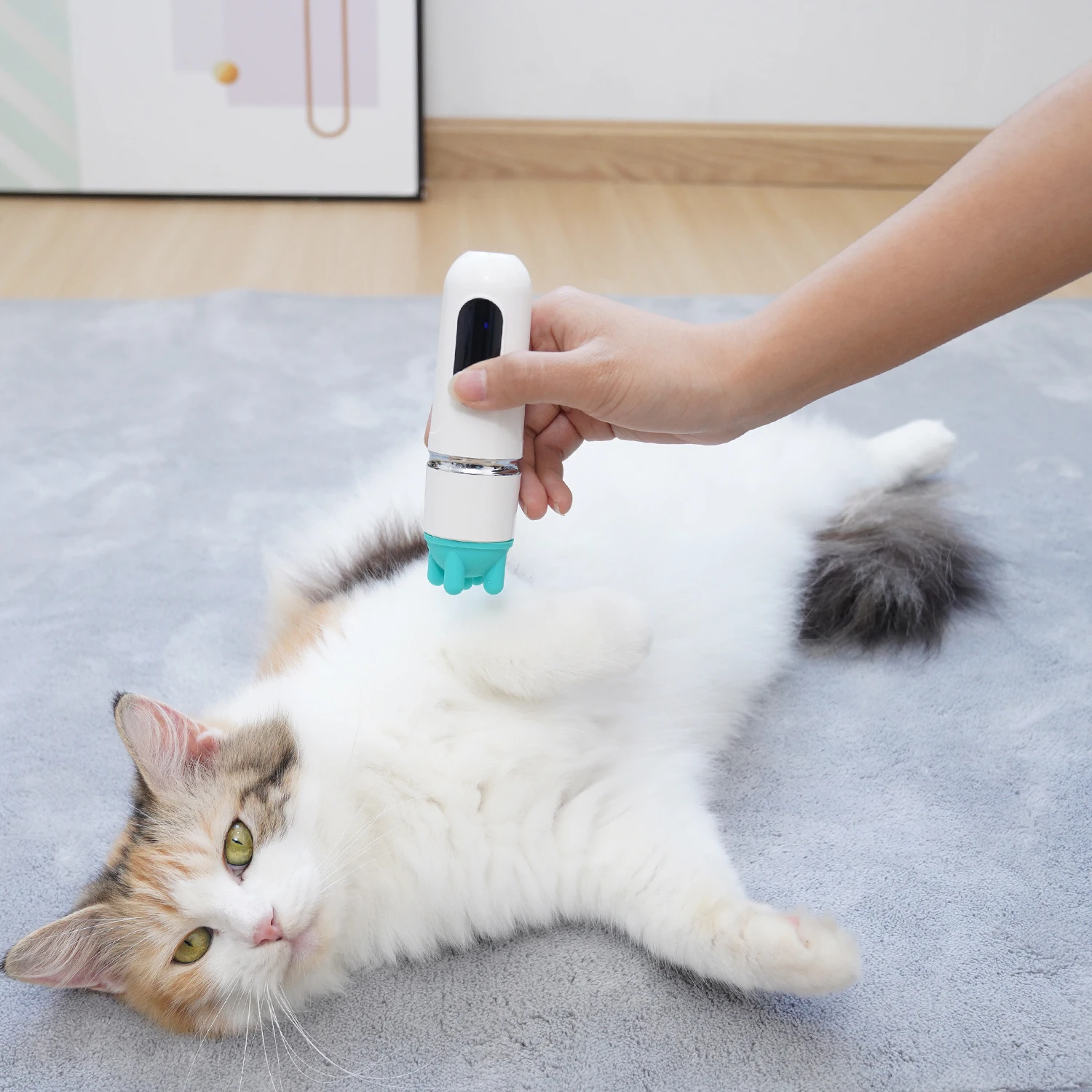 USB Rechargeable Head Replaceable Relaxing Pet Grooming Tool Pet Massage for dogs and cats