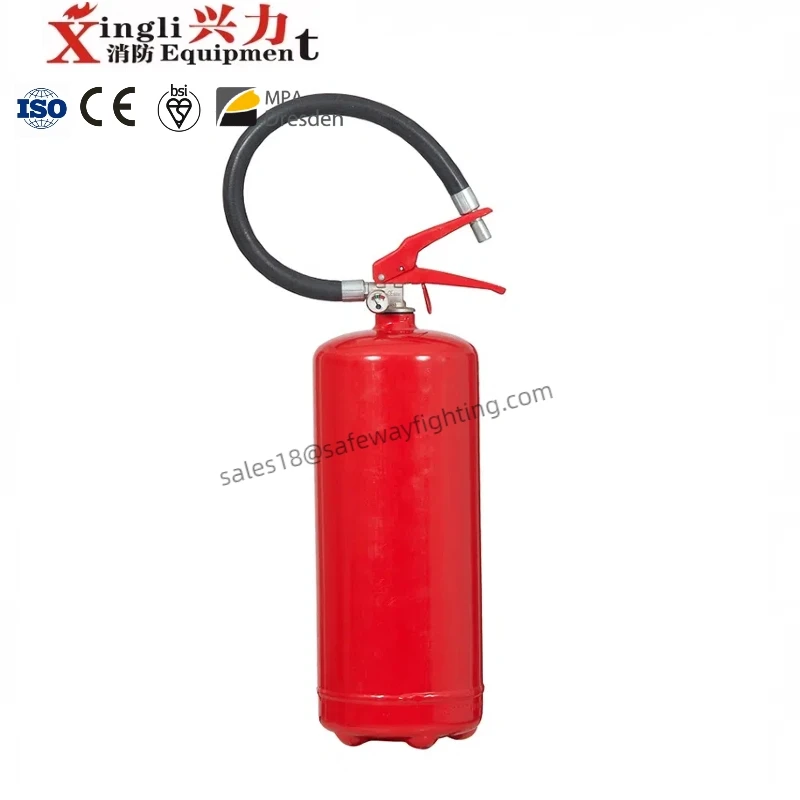 Customized Logo Dry powder/Foam/Water Stainless Steel Fire Extinguisher St12 6KG italy fire extinguisher