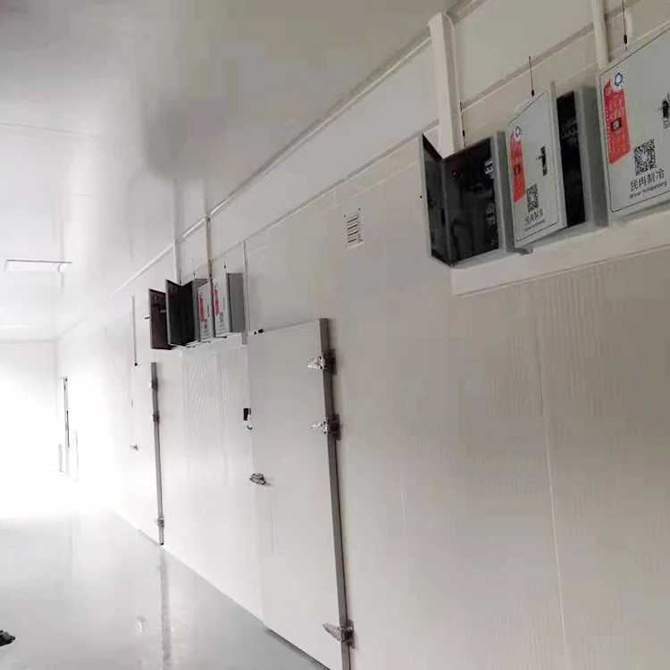 Made in China cold storage container for fruits and vegetables for pomegranate