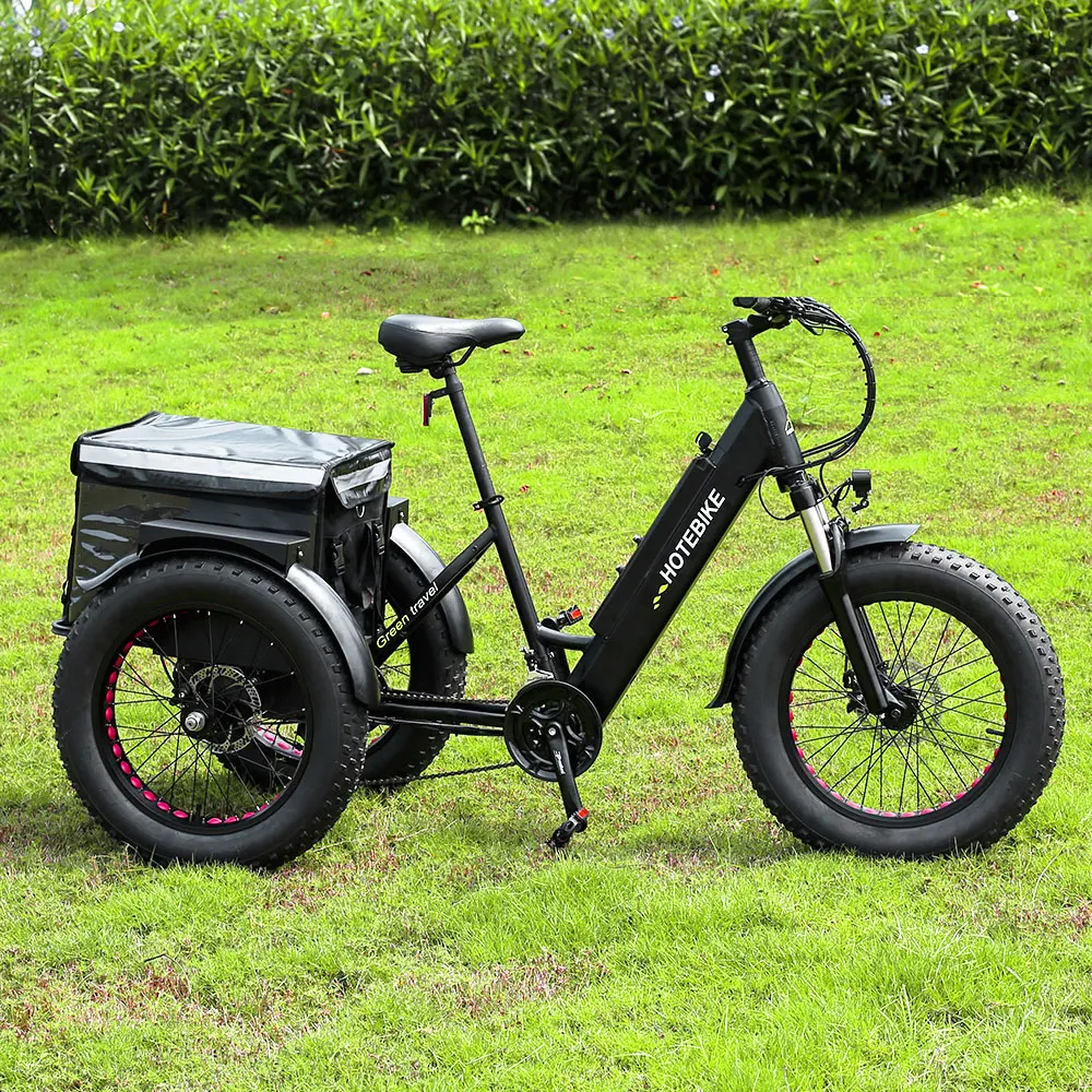 tricycles 3 wheel electric 20*4.0 inch Fat tire electric tricycle car 36V350W rear hub motor 3wheel electric tricycle motorcycle