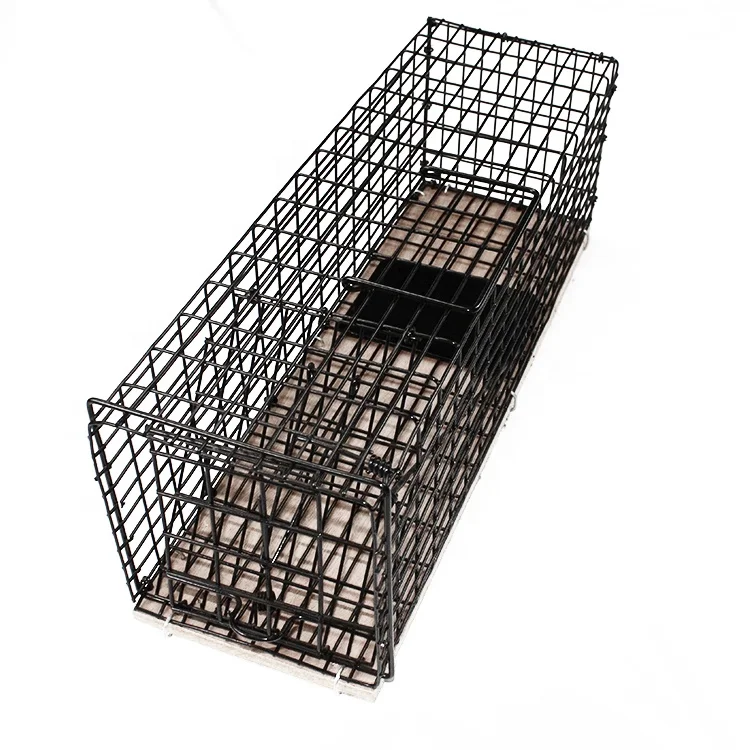 Wholesale Eco-Friendly Square Animal Design Bird Pest Trap Cage for Farm Use-Humane Mouse Wild Boar Python Rats Rabbit Traps