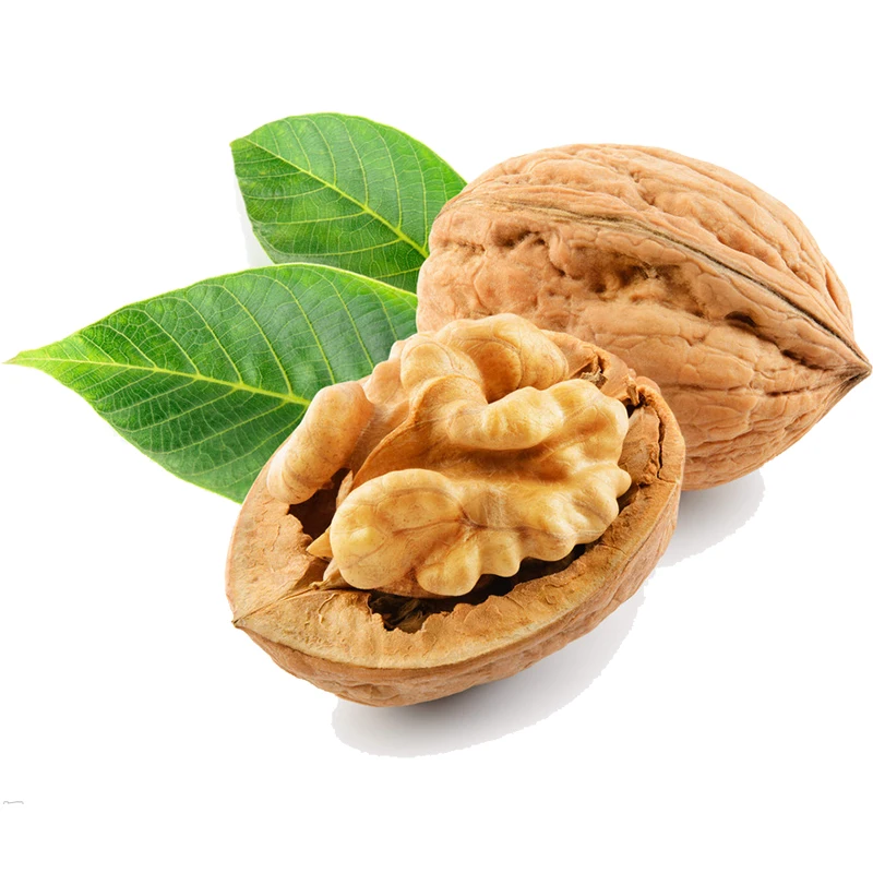 Wholesale Best Quality Walnut for Sale Good Quality 100% Natural WALNUTS Healthy Food Bulk Walnuts kernels
