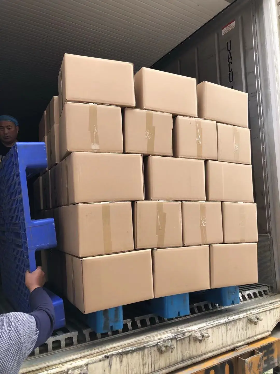 Factory black raisin Xinjiang