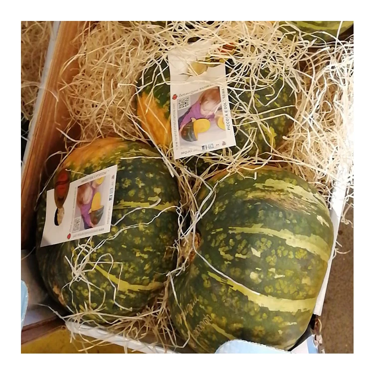Хорошее качество, итальянские свежие тыквы Delia Pumkins, овощи для продажи