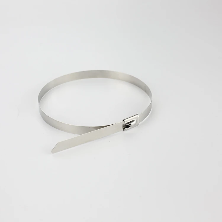 Anhui 316/304/201 Customized Best Quality Stainless Steel Binding Strip / Stainless Steel Cable Ties For Fastener /Metal Zip tie