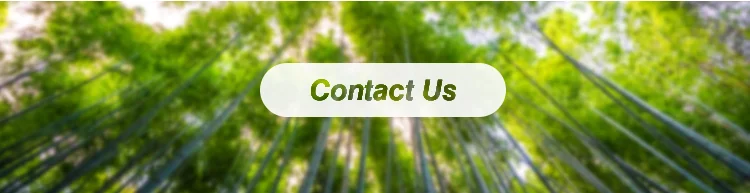 User-friendly disposable cutlery compostable small biodegradable ice cream spoon