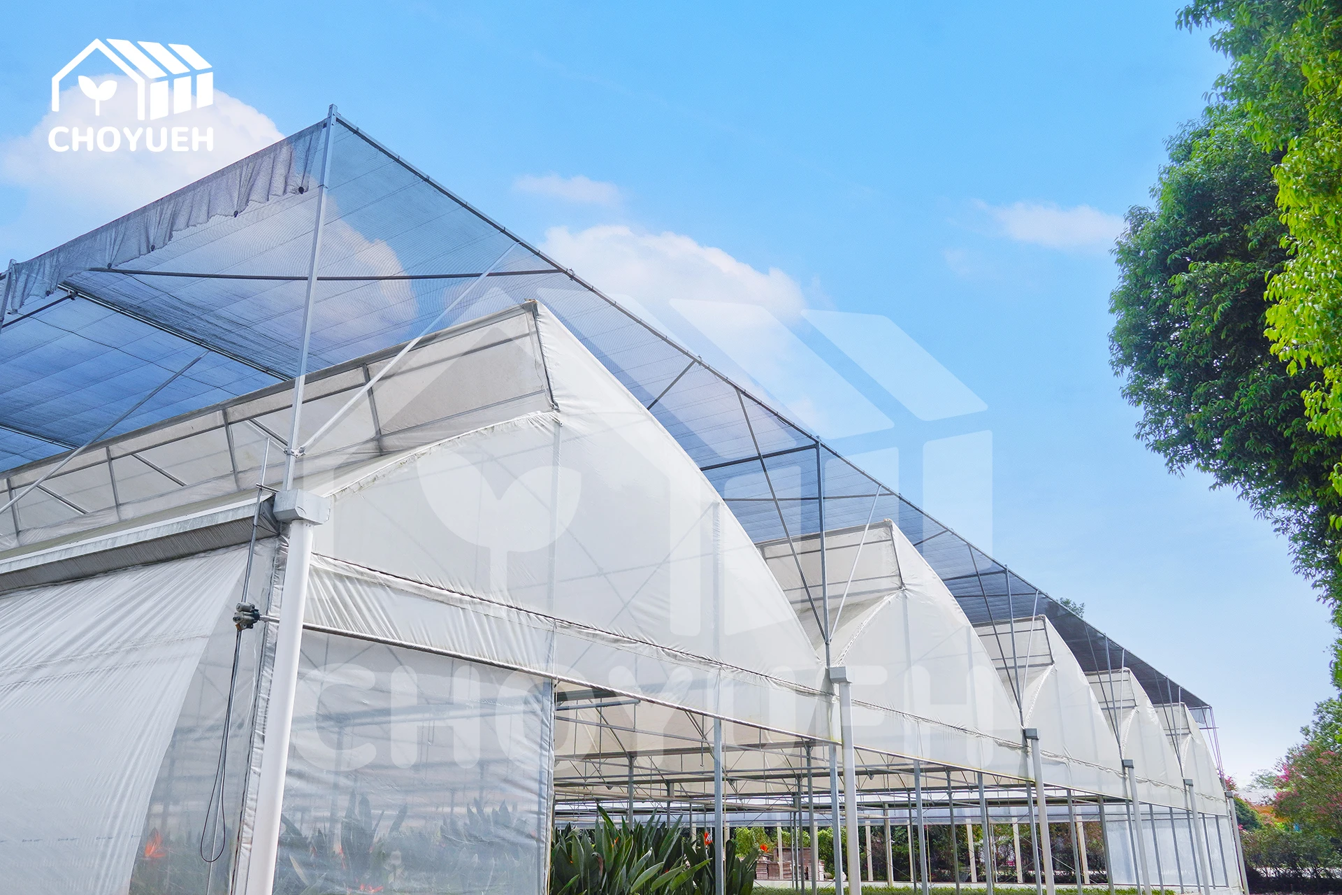 Commercial UV Film Multi-span Plastic Film Sawtooth Greenhouse China Manufacture Supplier Green house with hydroponic system