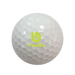Professional Customized Printing Logo Golf Ball Promotion Gift Manufacture Golf Range Balls 2 Layer Golf Ball
