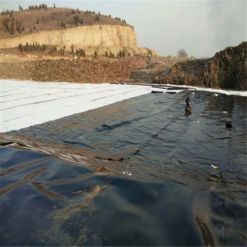 Вертикальные стены одинарные или двойные с детектором утечки Hdpe геомембрана геомембранные пленочные