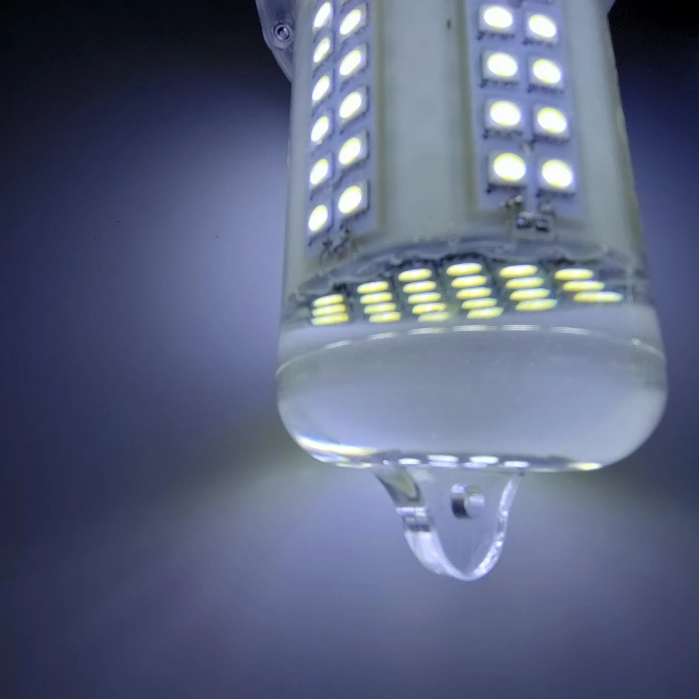 Charging model infrared remote control fish lamp