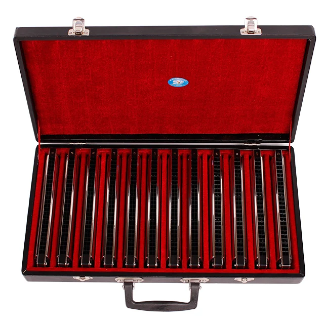 
Swan SW24H-12T 24 Hole 12-Tune Set-Packing Harmonica Gift Box 
