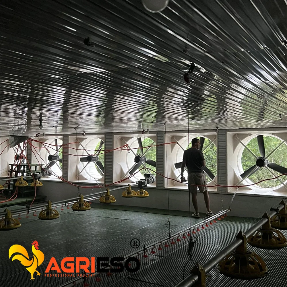 Agrieso High Quality Centrifugal Exhaust Box Fans For Ventilation System Chicken Farm Cooling Fan Poultry Equipment