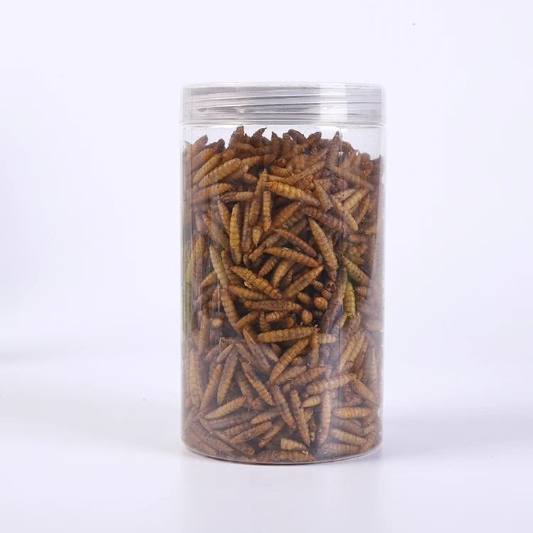 Mixes Orders Snack Earthworm Animal Cheap Yellow Mealworm dried for Fish fresh Mealworms