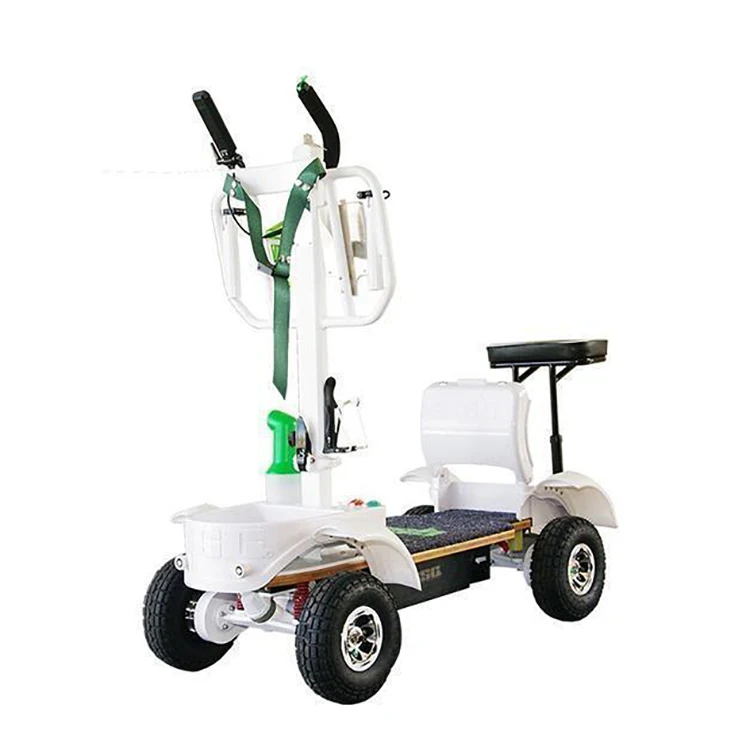 
2021 new Hot sell high speed 1000W 36V 30AH Self-Balancing Electric Scooters 4 Wheel electric golf board Electric Golf Carts 