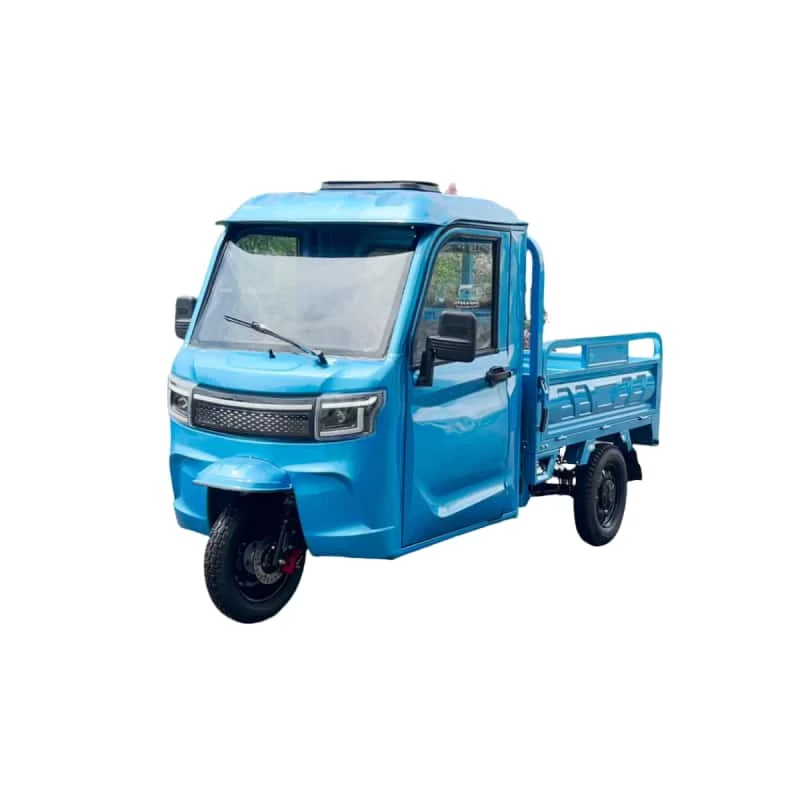 Hot Sale 60V 1000W Closed Cargo Tricycle Electric EEC Closed 3-Wheel Passenger Taxi Tricycle EEC Approved