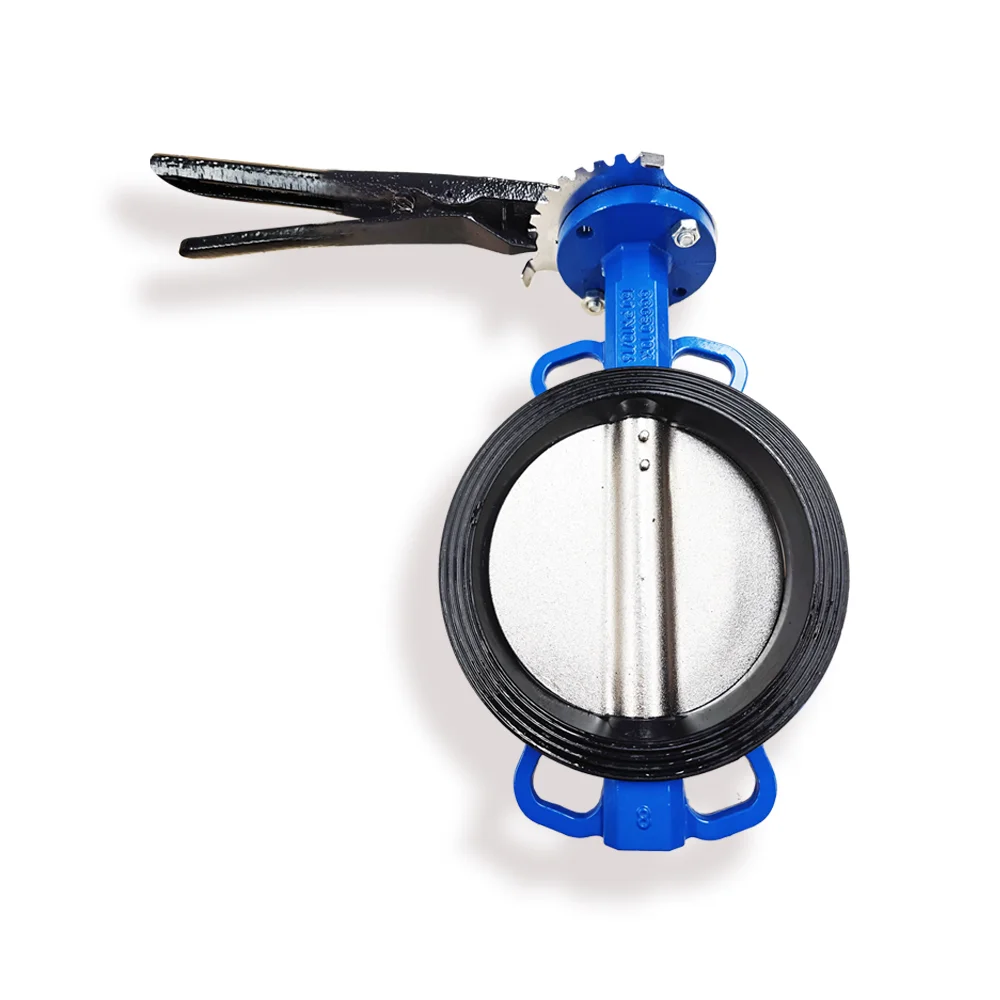 China factory supply Ductile Iron Rubber Seal D71X-16DN50 Center Butterfly Valve