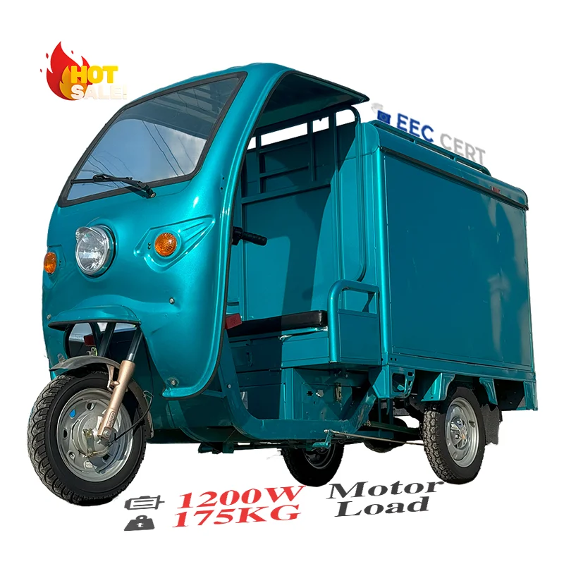 LB-3W4D electric trike fat tire 3 wheel Electric Tricycle three wheels adult cargo electric bike with basket