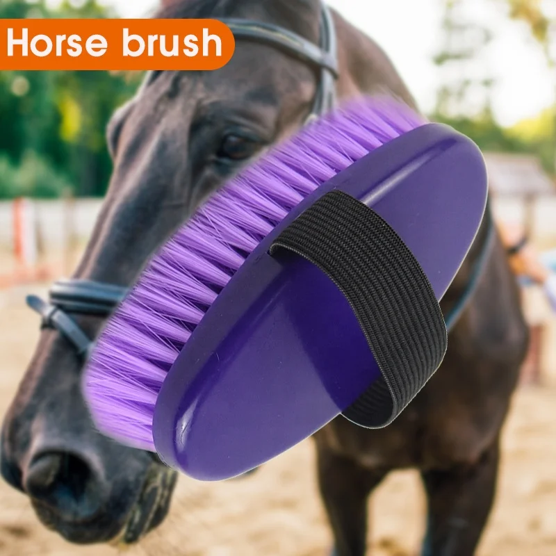 Hot sell ellipse Custom Logo  plastic horse body cleaning Purple blue red  horse hair brush