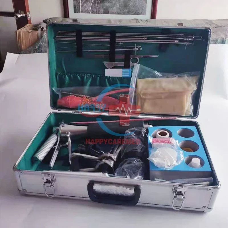 HC-R085 Veterinary Portable AI Kits Cattle Cow Sheep Big Animal Goat Pig Artificial Insemination gun Equipment Box for cattle