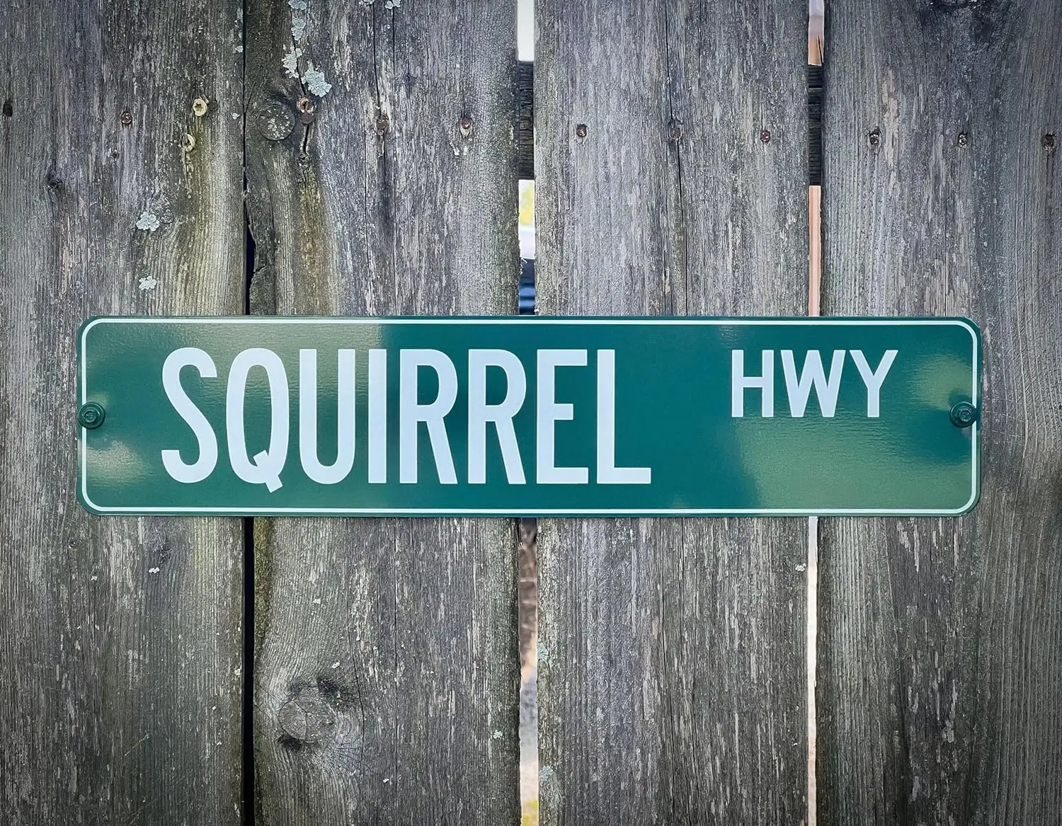 Hot Selling  personalized novelty road signs, non reflective single-sided road front full-color glossy  sign