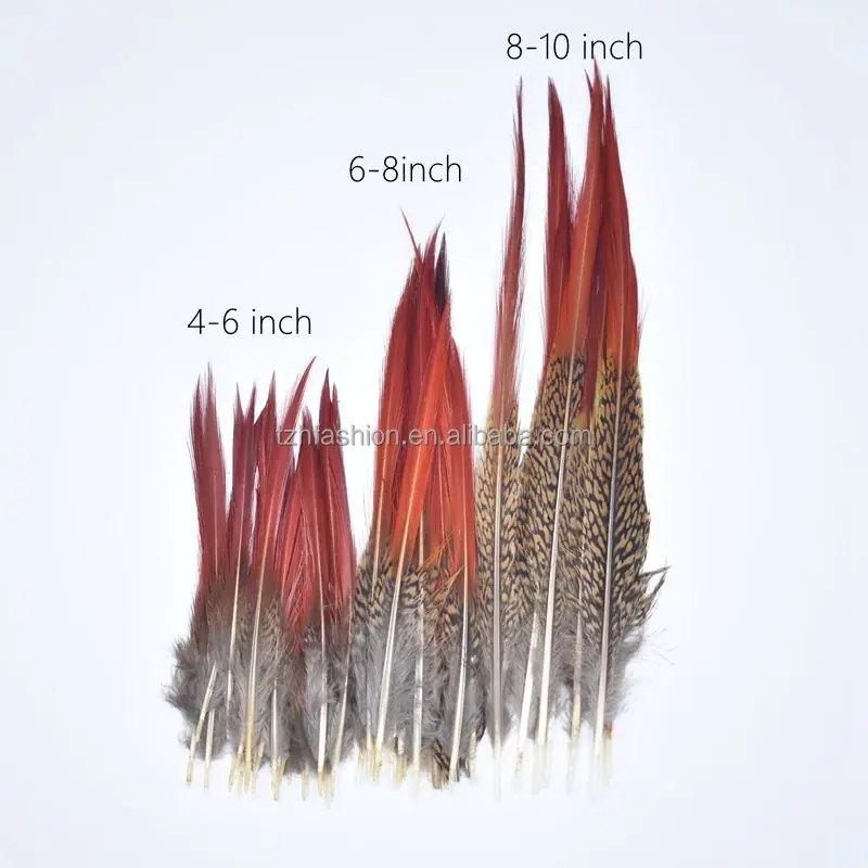 4-6 inch , 6-8 inch , 8-10 inch Natural Red Golden Pheasant Red Tip Loose Pointy Feathers