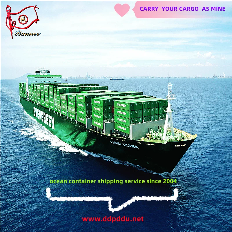 FCL LCL sea shipping  CIF FOB  booking agent  from ShenZhen GuangZhou  ShangHai Ningbo QingDao  TianJin to USA  Canada  Mexico