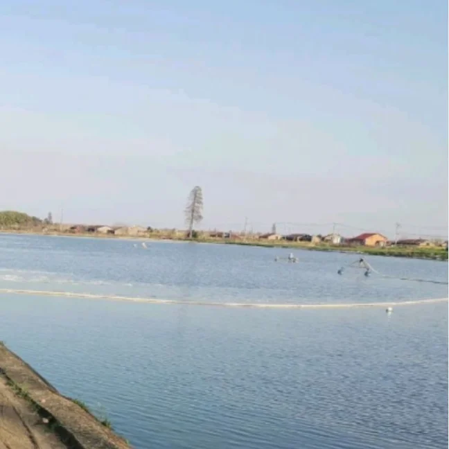 denitrifying bacteria  reduce nitrite