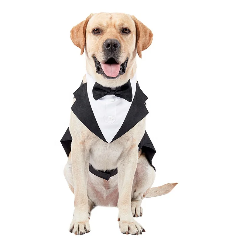 Party Wedding Luxury Pet Clothes Fancy Dog Tuxedos All Sizes Lined Pet Wedding Suit Dress With Bandana