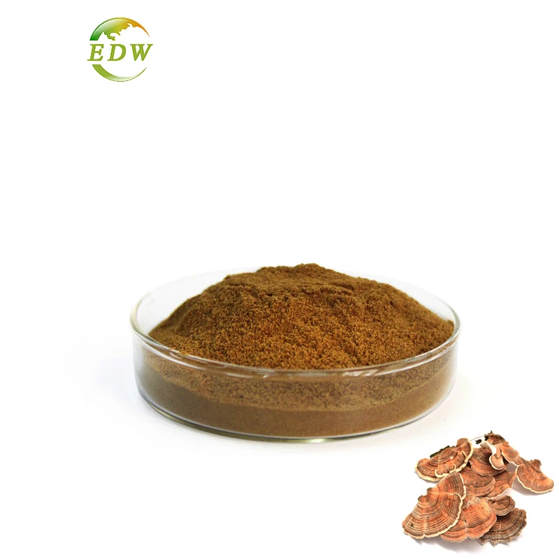 Pure Reishi Mushroom Extract Ganoderma Lucidum Polysaccharides Powder