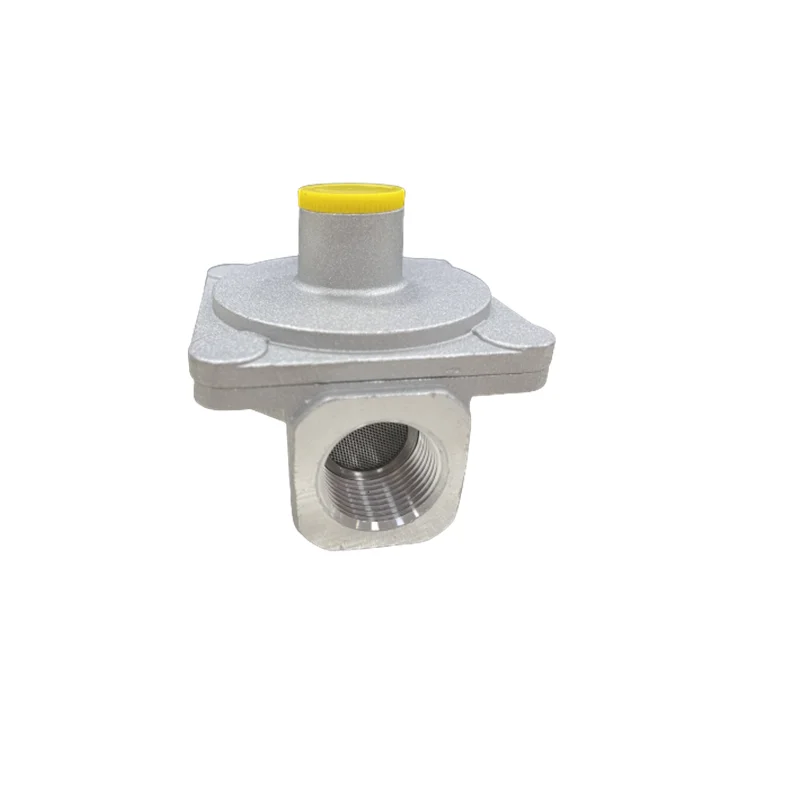 2022 New Arrival  Air Filter Customized Gas Filter Home Use Gas LPG Filter DN15  aluminum gas tools