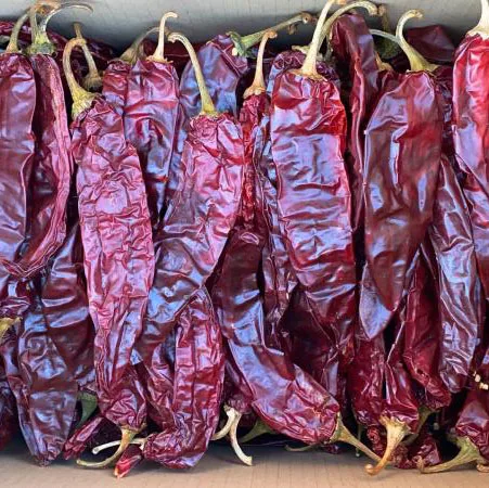 High quality water wash whole paprika pods Pimientos dulces lavados