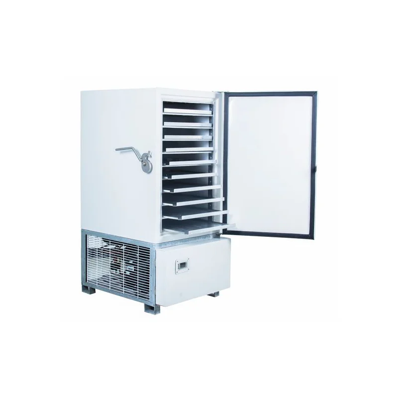 Ice Pack  Freezer Maker Shock Refrigerators  Contact Plate Freezer PF - 10  Blast Commercial  Polar Fridge from Thailand