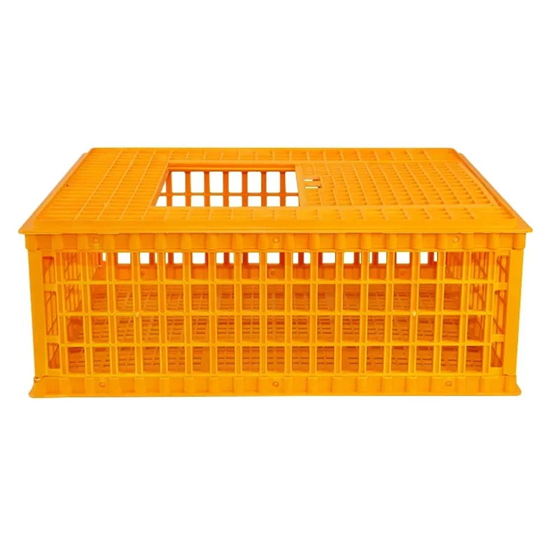 Factory Price plastic container turnover box used in poultry and meat factory plastic crates
