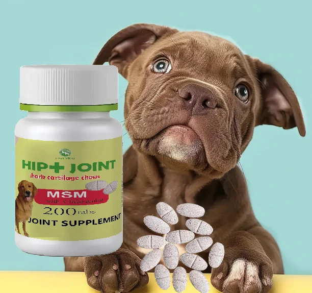 dog probiotics sachet dog probiotics with digestive enzymes for guts