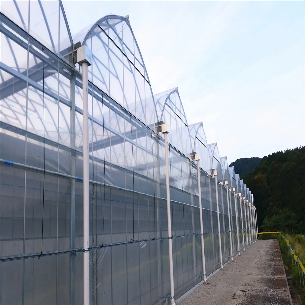 Solo Span Film Greenhouse
