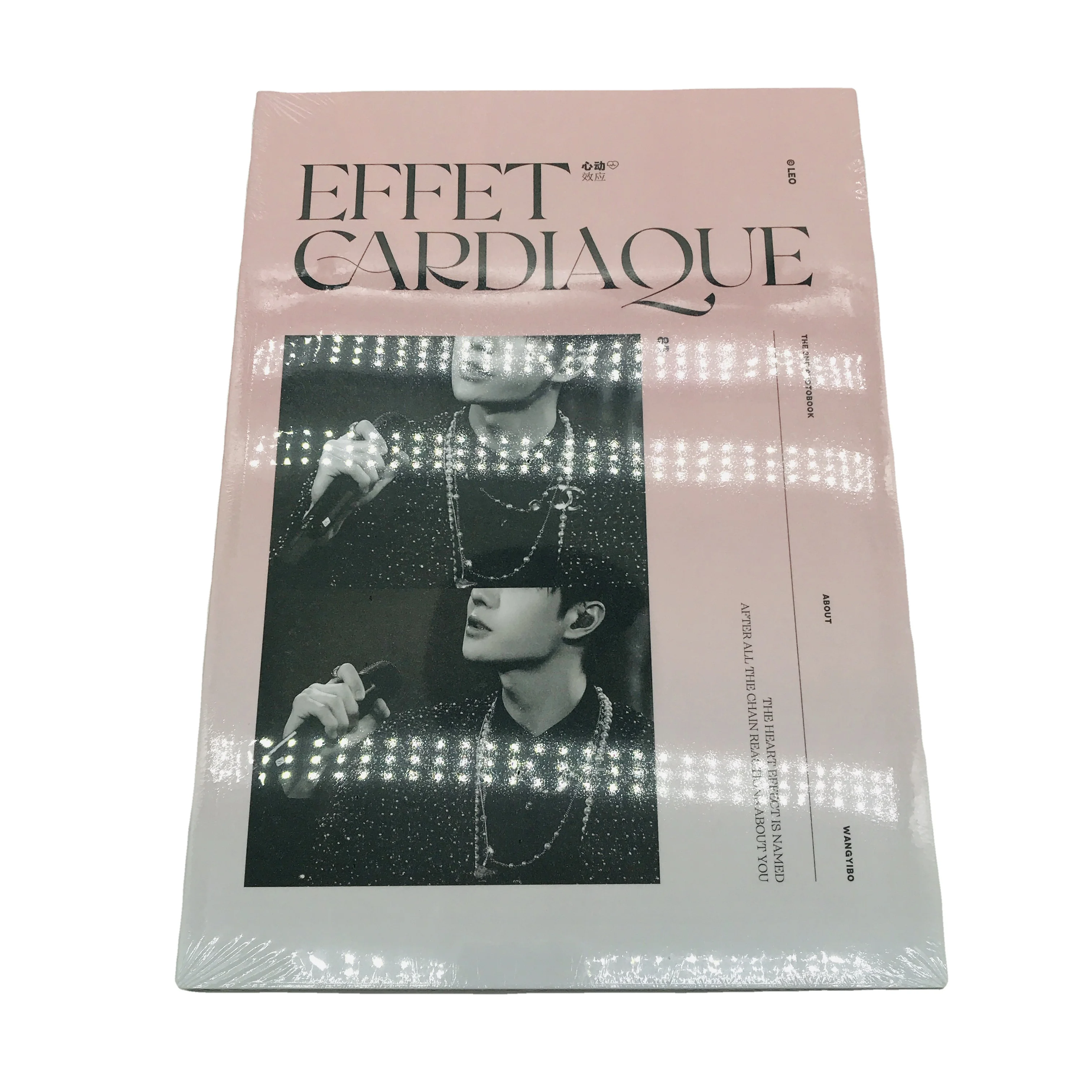 SM-YB179 Customized company promotion and introduction professional catalog Catalogue