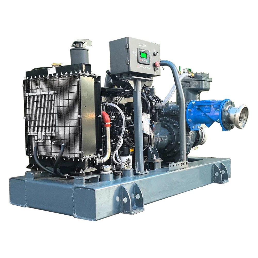 Small Power High Head diesel Engine Customized Sewage Transfer Pump