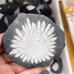 Wholesale Natural Raw stone Crystal Specimen Stone Rough Chrysanthemum Stone For Decoration