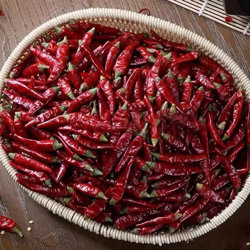 Wholesale Bulk Dry Red Chili Spicy Beijing Red Chili Single Spices Kosher Certified Haccp Compliant Packaged in Bags