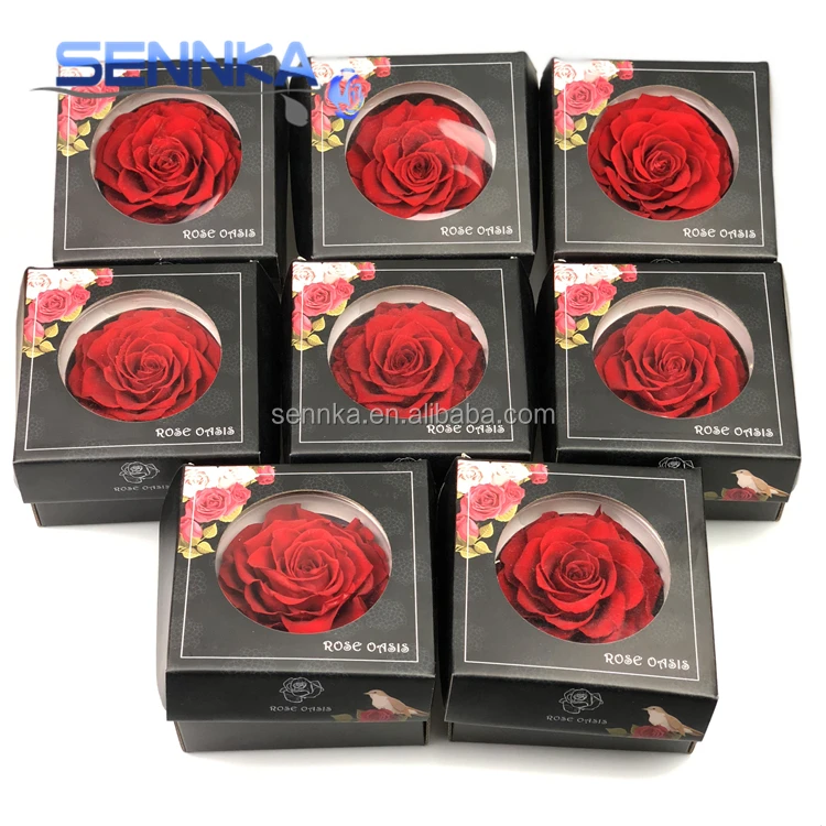 Fresh Cut Flower Holland Long Lasting Royal Blue Preserved Roses from Yunnan Sennka