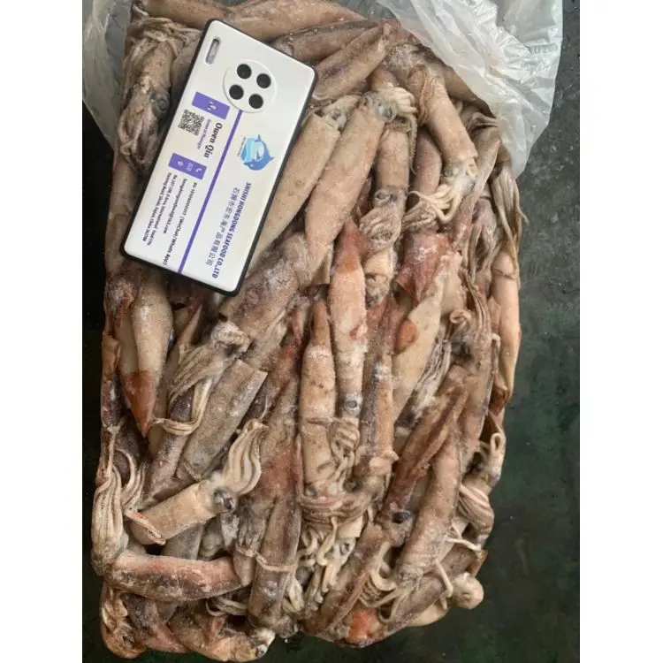 
New Season Promotional Hot Sell Frozen Whole Round Dried Jigs Fishinig Water Squid for Hotel 