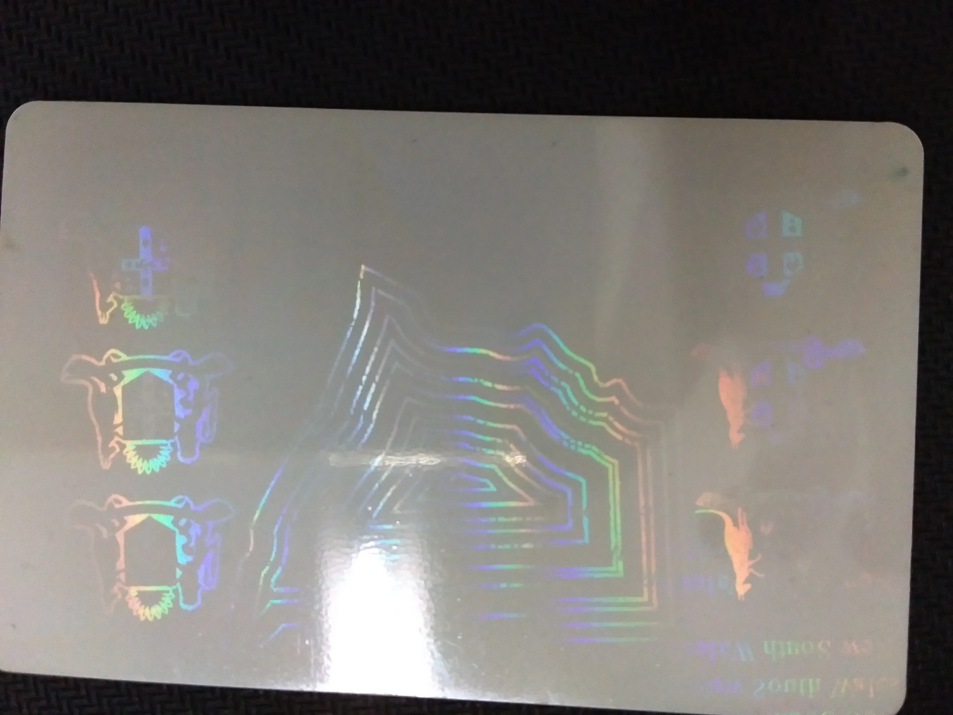 ID00.jpg