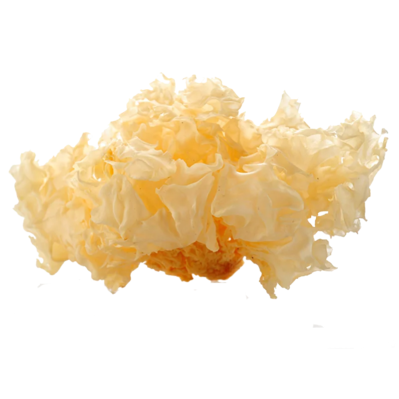 Factory Supply low price white water-soluble 30% mushroom powder tremella fuciformis extract
