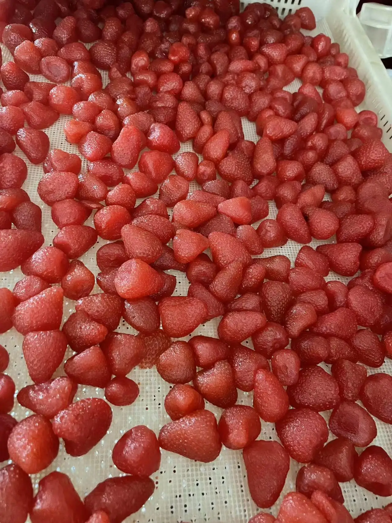 High quality best price dried fruit and vegetable products preserved strawberry