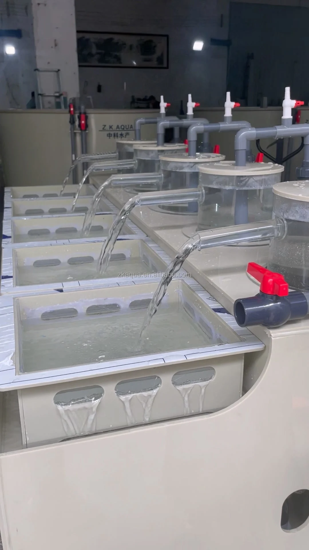 pisciculture other aquaculturer equipment tilapia fish incubator mini hatchery fish
