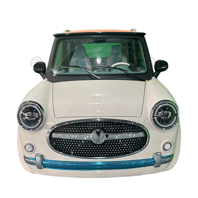 Luxury 45km/h electric car mobility electric car small electric mini car