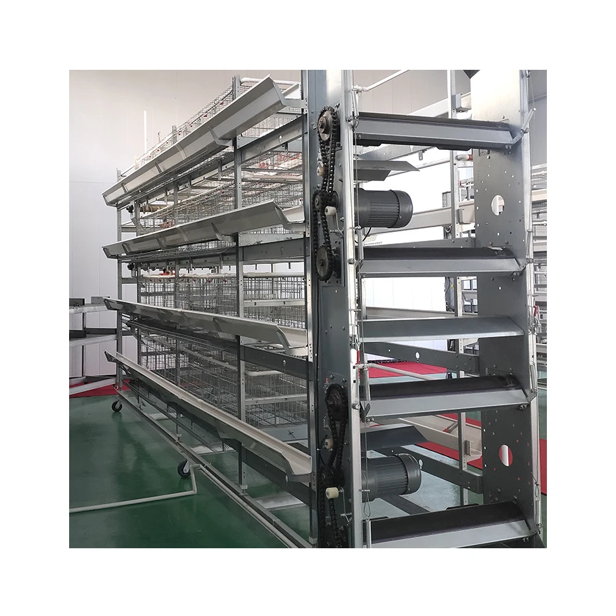 Strong and durable broiler cage, high technology content design comfortable large chicken cage. The most popular chicken coop